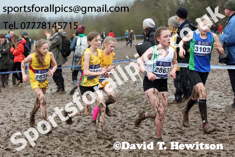 Girls under-13s 2018 British Inter Counties Cross Country Champs., Prestwold Hall, Loughborough. Photo: David T. Hewitson/Sports for All Pics
